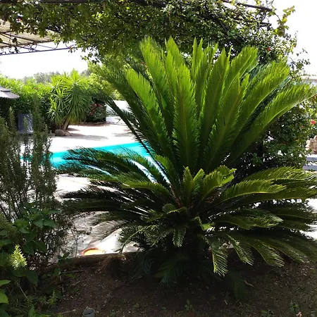 Muratello 6 Personnes 3 - Piscine - Climatisation - Wifi Βίλα *